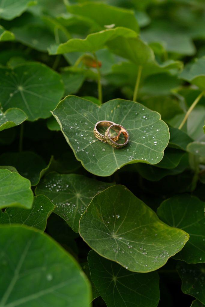 Oksana & Alexander | August 26, 2023