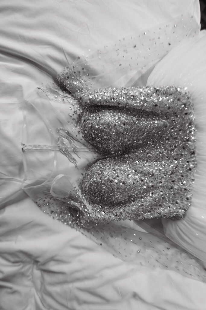 Ksenia & Sergei | August 16, 2025